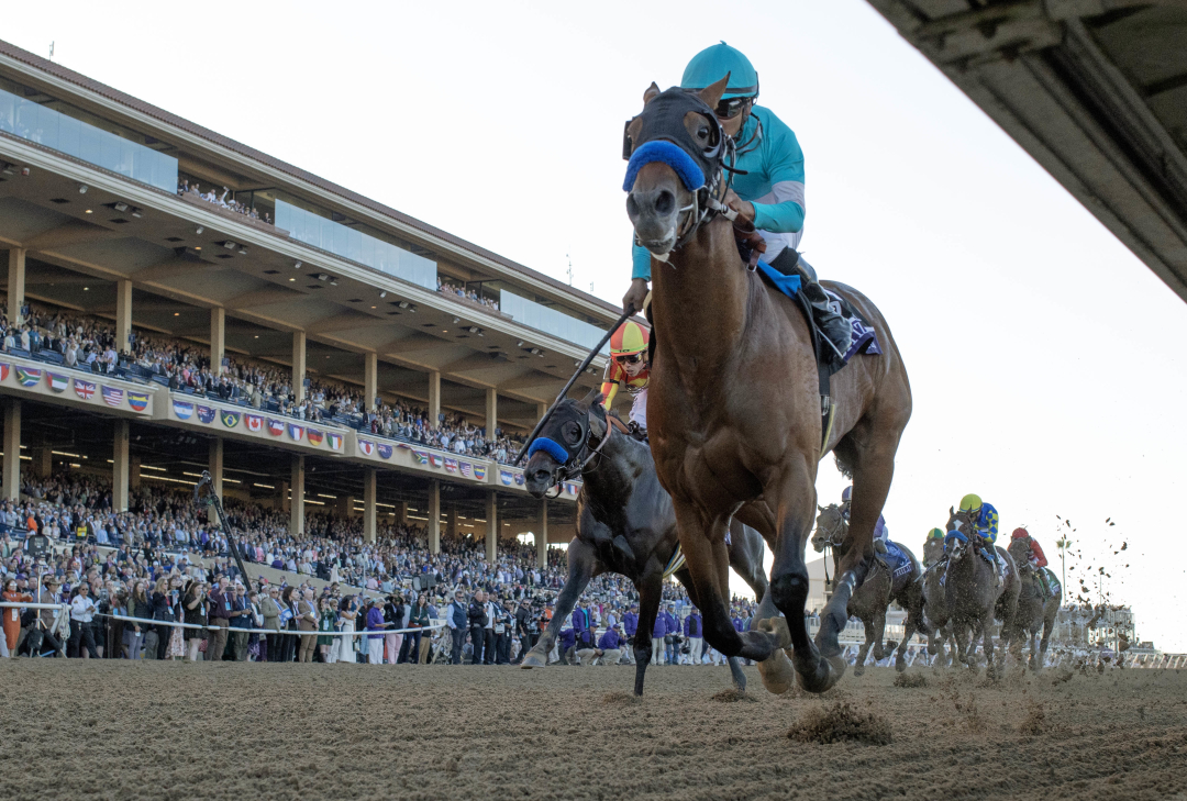 Baffert, McCarthy well stocked for California road to Kentucky Derby